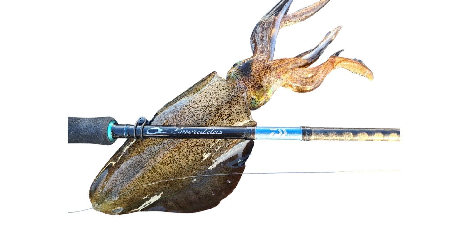 egi fishing reels SHIMANO 25 Sephia XR C3000S Reel Fishing Rod*1Rod Bag*1 Excellent Condition】 Daiwa Egi Fishing